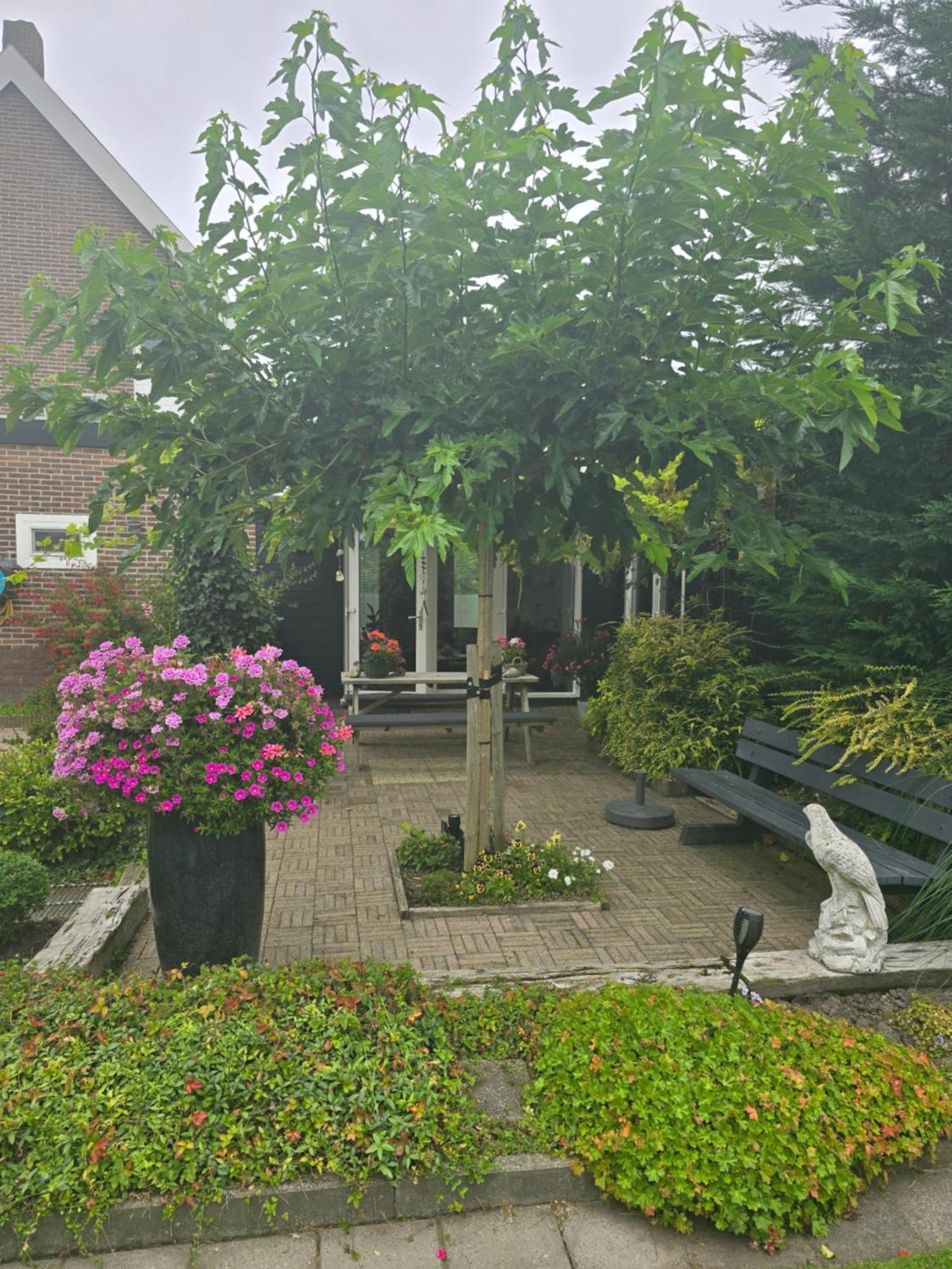 B&B Welkom Zierikzee Eksteriør billede